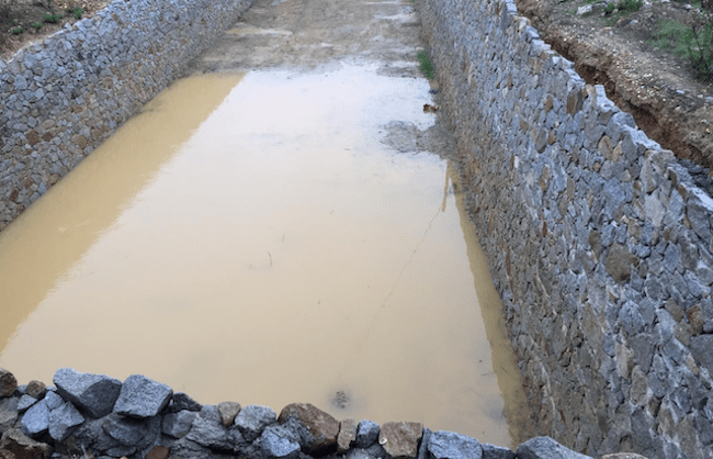 A evolução do meu projecto agrícola