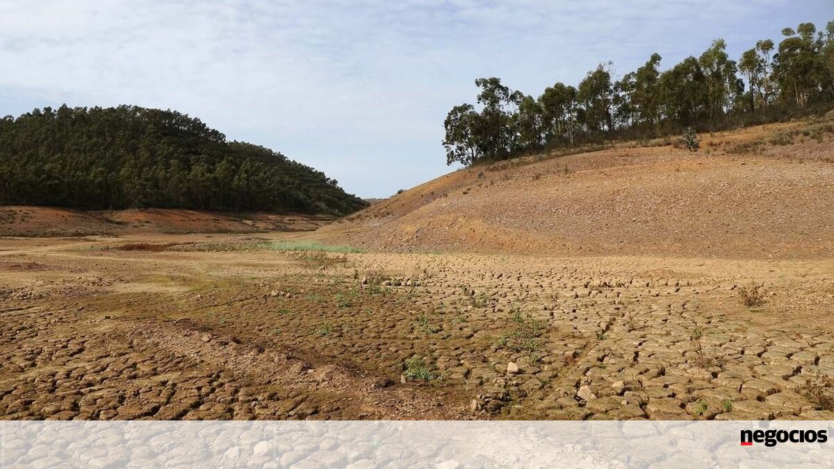 Do arroz ao cacau, clima faz disparar preço dos alimentos