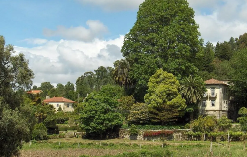 Estas são as casas de luxo mais visitadas no minho 14 Estas são as casas de luxo mais visitadas no minho
