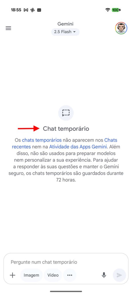 Google Gemini conversas temporárias
